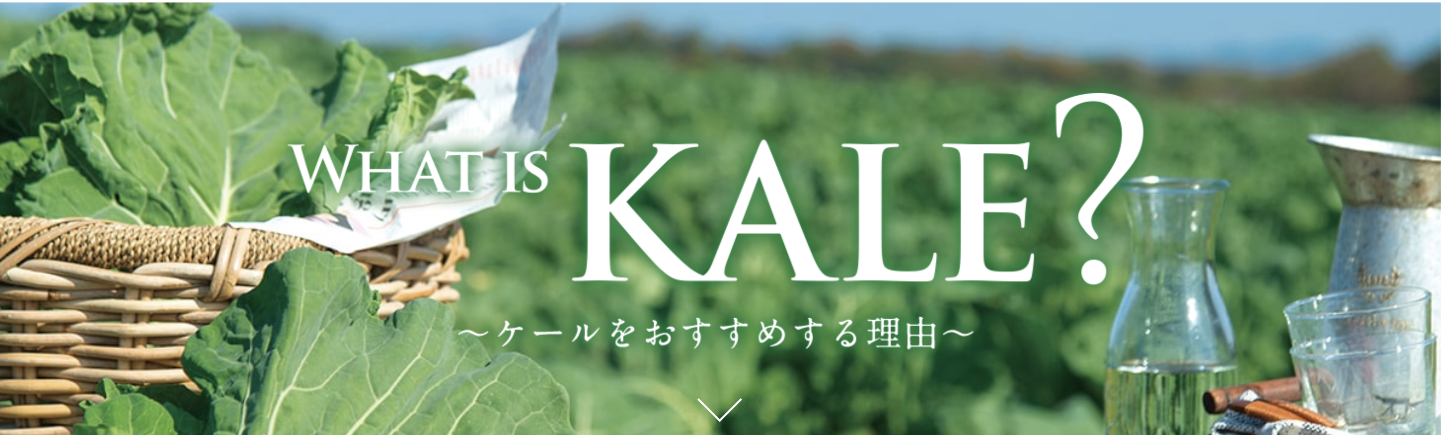 国際的なビジネスチャンスの可能性