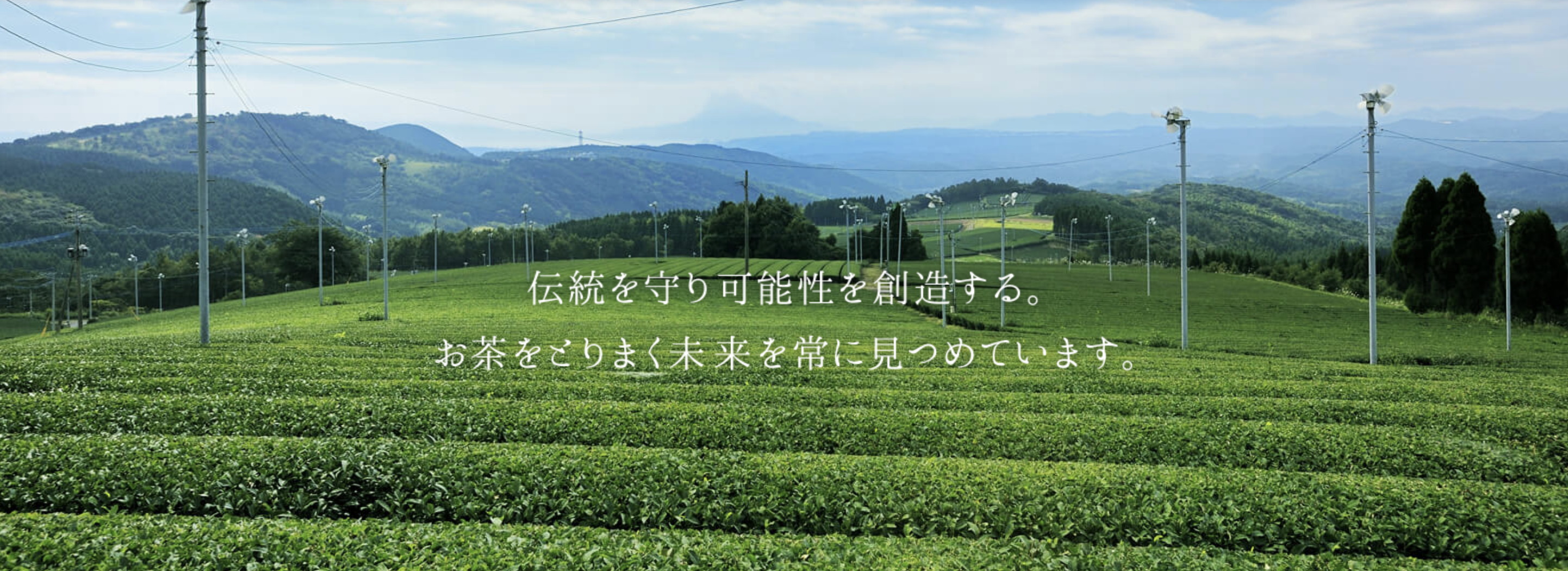 予想以上の効果と今後の展望