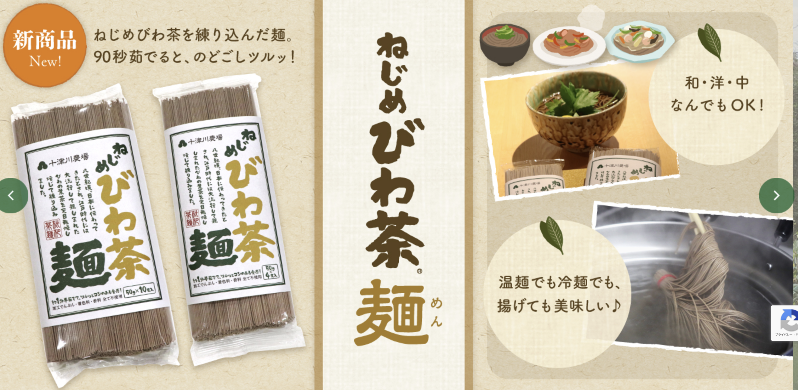 小さな会社が翻訳ツールで壁を越えた