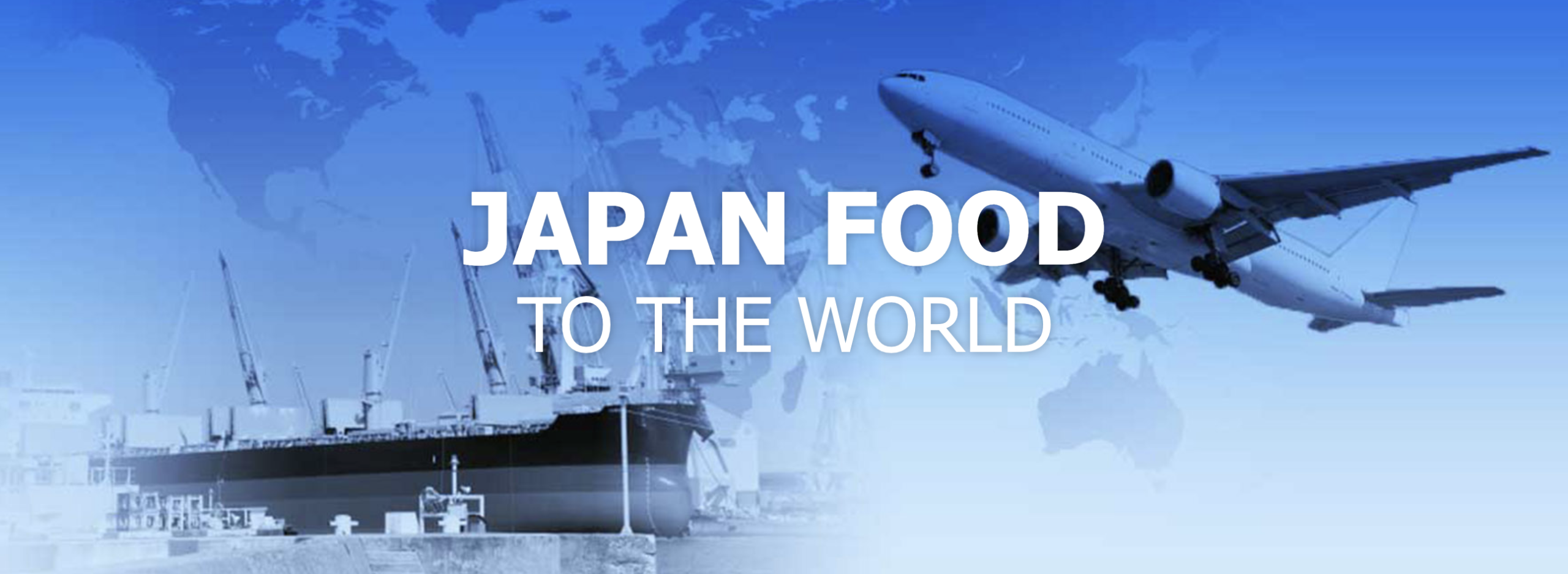 新たな海外販路の可能性